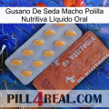 Gusano De Seda Macho Polilla Nutritiva Líquido Oral 43